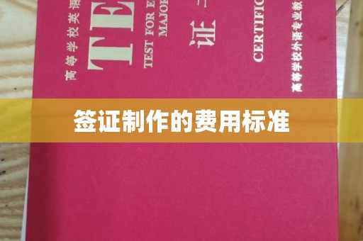 秦汉签证制作的费用标准