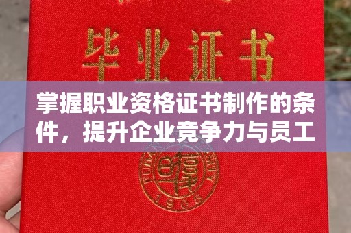 秦汉掌握职业资格证书制作的条件，提升企业竞争力与员工专业素养