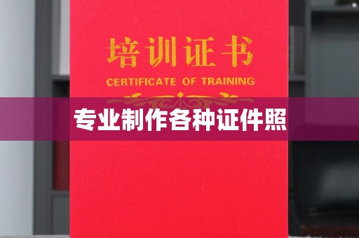 秦汉专业制作各种证件照