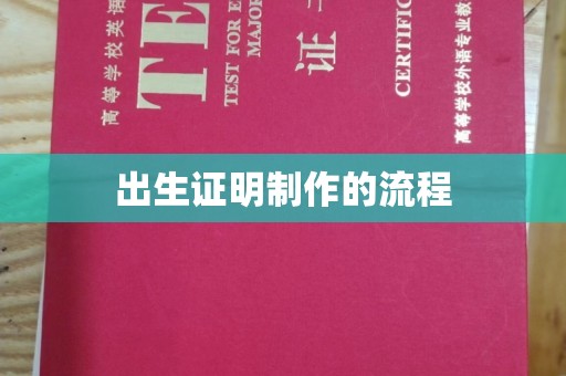 秦汉出生证明制作的流程