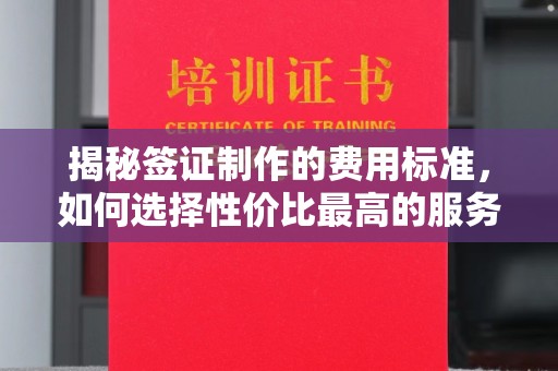 秦汉揭秘签证制作的费用标准，如何选择性价比最高的服务？