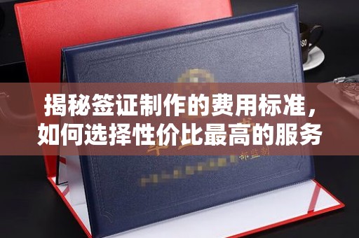 秦汉揭秘签证制作的费用标准，如何选择性价比最高的服务？