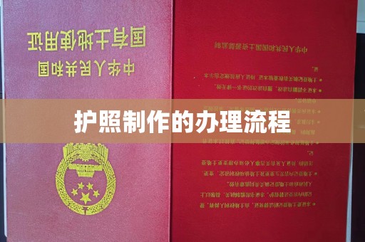 秦汉护照制作的办理流程