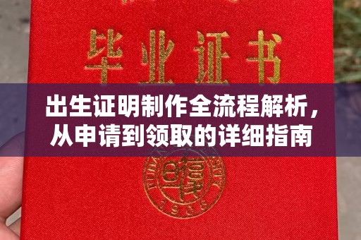 秦汉出生证明制作全流程解析，从申请到领取的详细指南