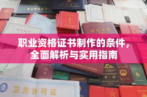 秦汉职业资格证书制作的条件，全面解析与实用指南