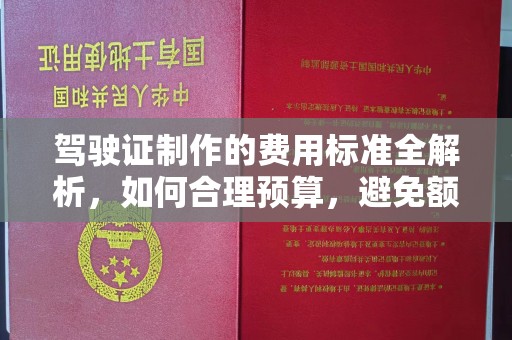 秦汉驾驶证制作的费用标准全解析，如何合理预算，避免额外支出