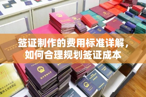 秦汉签证制作的费用标准详解，如何合理规划签证成本