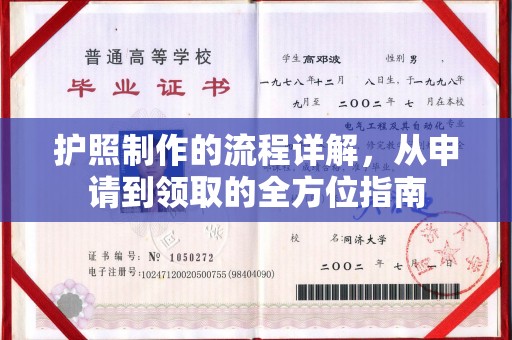 秦汉护照制作的流程详解，从申请到领取的全方位指南