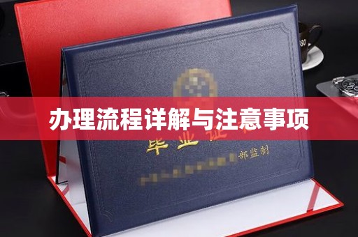 秦汉办理流程详解与注意事项